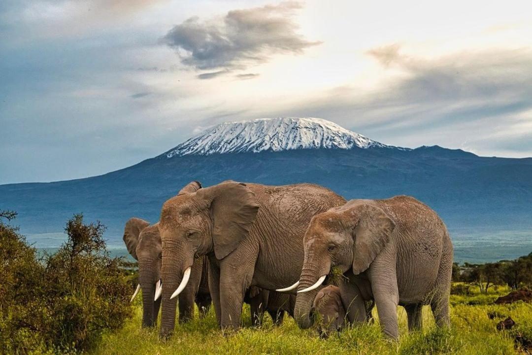 Amboseli Cultural Camping Exterior foto