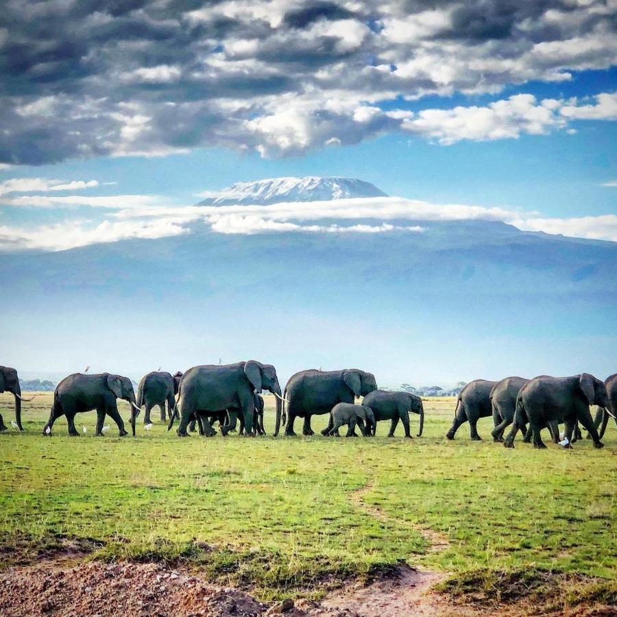 Amboseli Cultural Camping Exterior foto